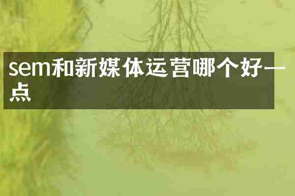 sem和新媒体运营哪个好一点