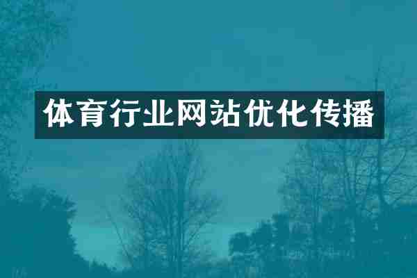体育行业网站优化传播