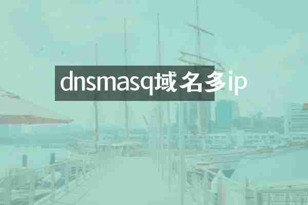 dnsmasq域名多ip