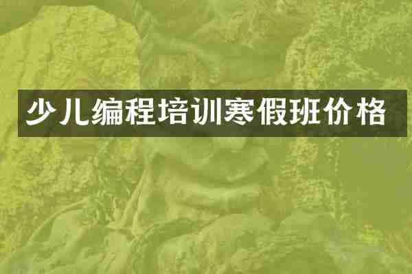 少儿编程培训寒假班价格