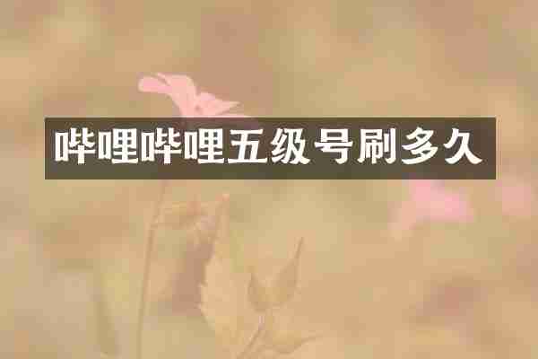 哔哩哔哩五级号刷多久