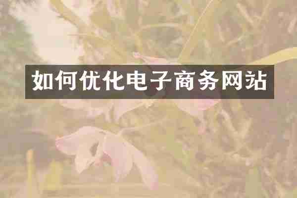 如何优化电子商务网站