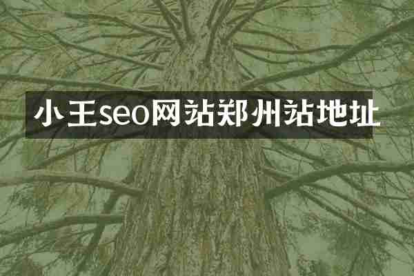 小王seo网站郑州站地址