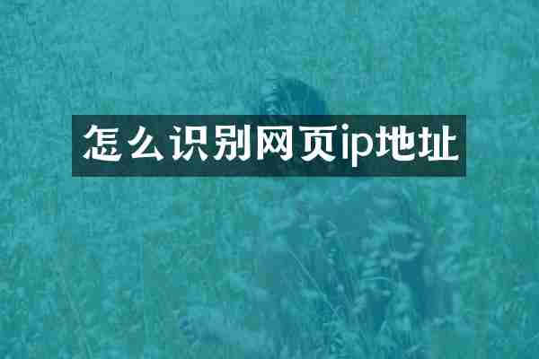 怎么识别网页ip地址