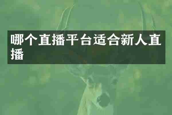 哪个直播平台适合新人直播
