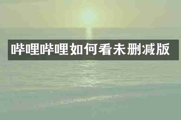 哔哩哔哩如何看未删减版