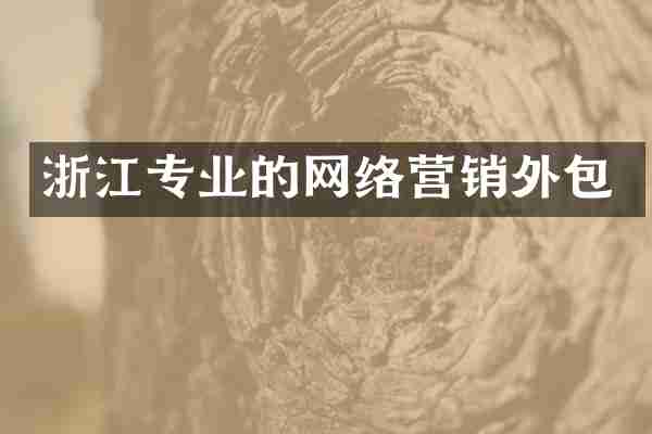 浙江专业的网络营销外包