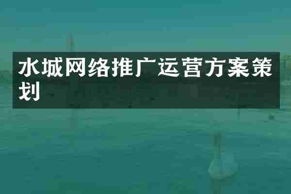 水城网络推广运营方案策划