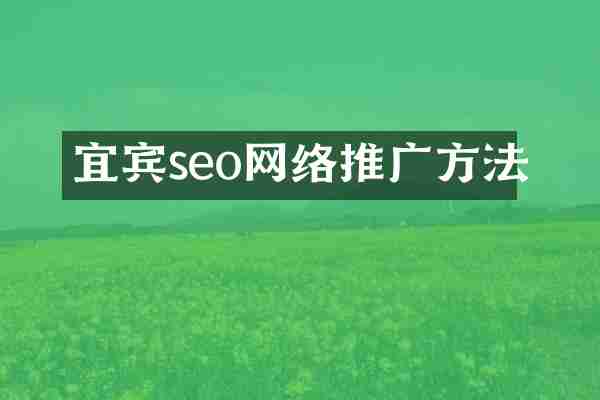 宜宾seo网络推广方法