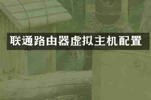 联通路由器虚拟主机配置