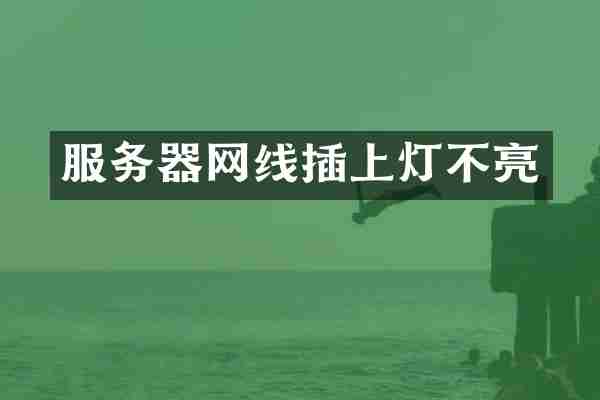 服务器网线插上灯不亮