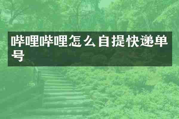 哔哩哔哩怎么自提快递单号