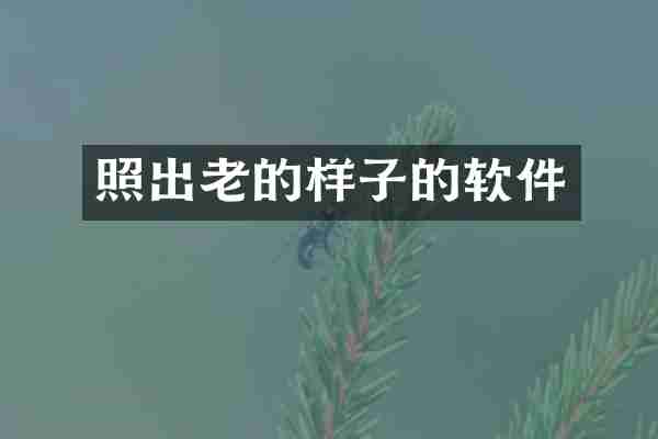照出老的样子的软件