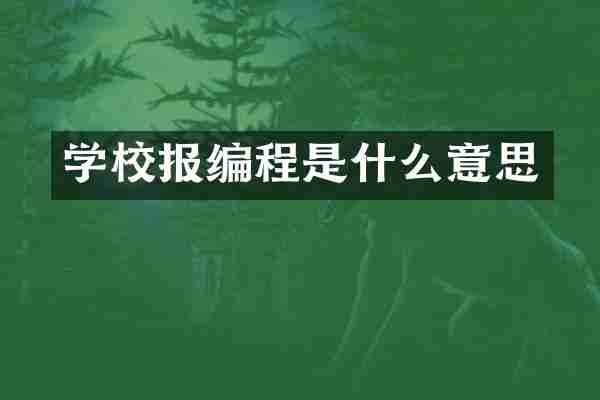 学校报编程是什么意思