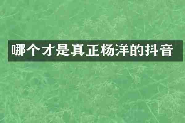 哪个才是真正杨洋的抖音