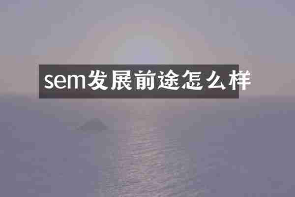 sem发展前途怎么样