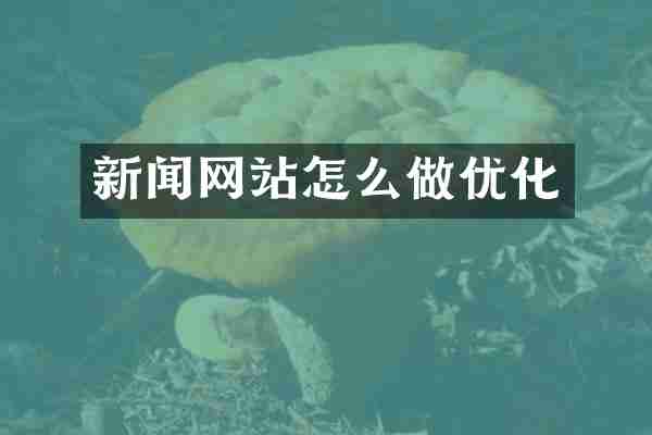 新闻网站怎么做优化