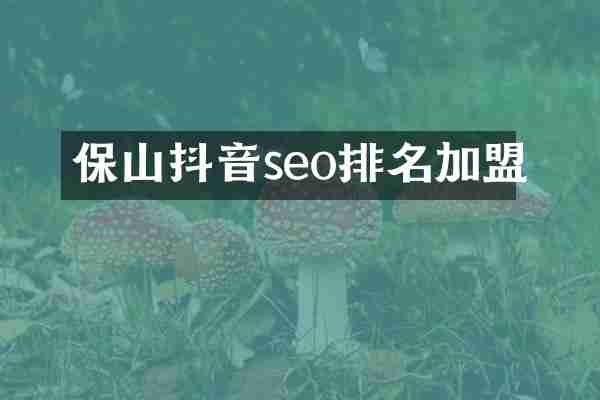 保山抖音seo排名加盟