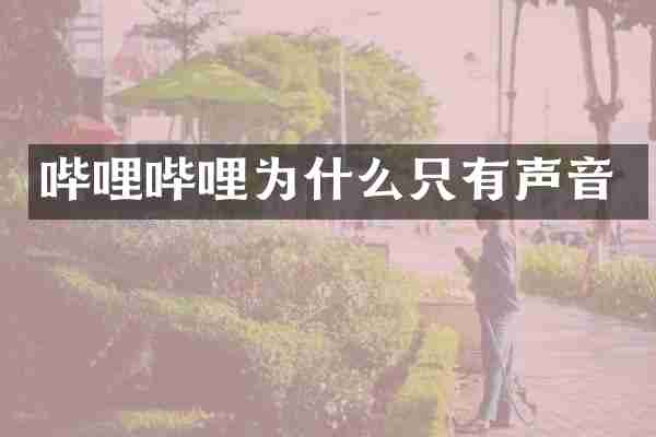 哔哩哔哩为什么只有声音