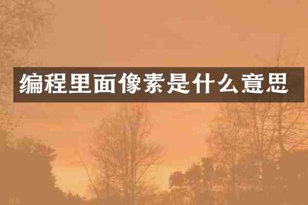 编程里面像素是什么意思
