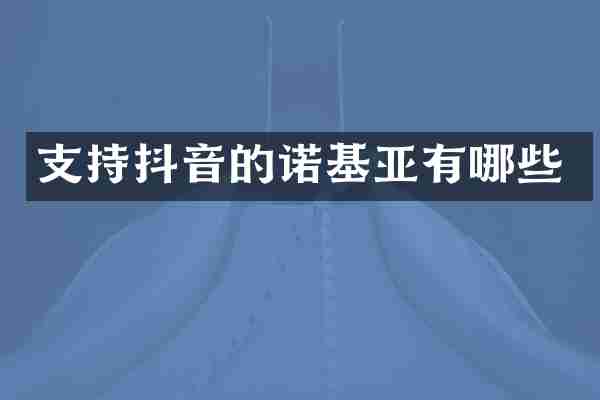 支持抖音的诺基亚有哪些