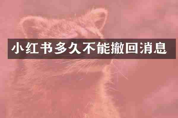小红书多久不能撤回消息
