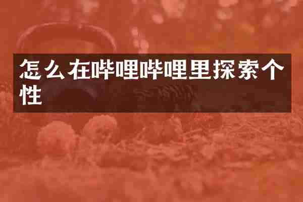 怎么在哔哩哔哩里探索个性