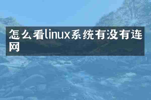 怎么看linux系统有没有连上网