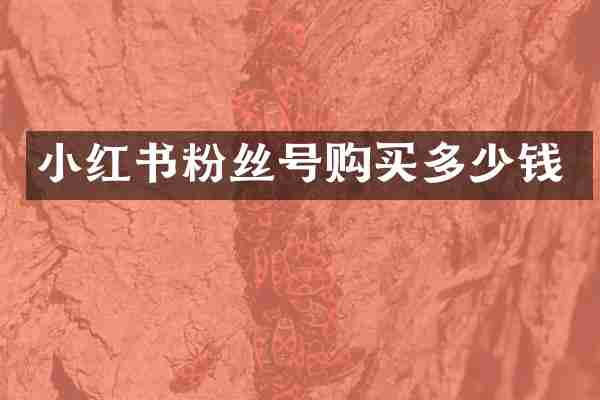小红书粉丝号购买多少钱