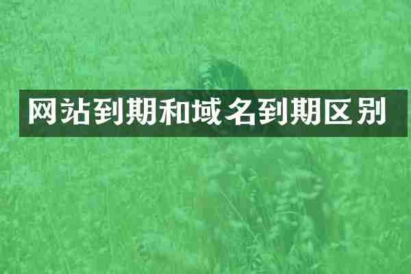 网站到期和域名到期区别
