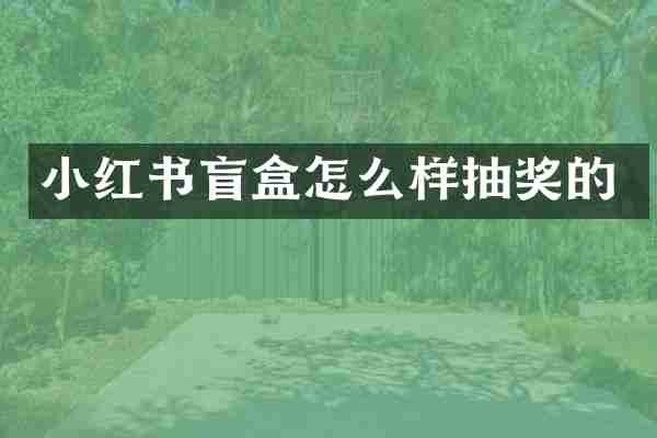 小红书盲盒怎么样抽奖的