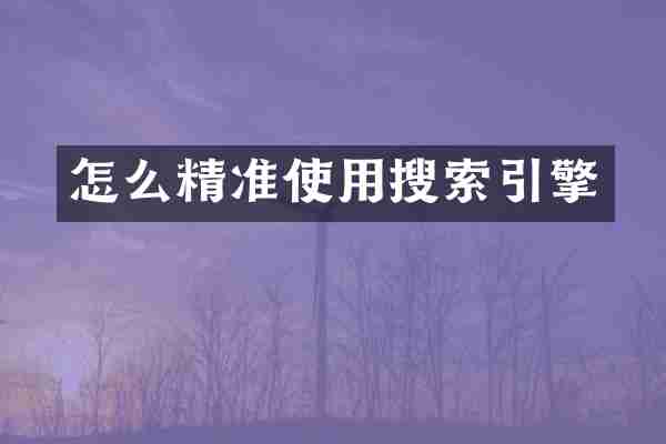 怎么精准使用搜索引擎