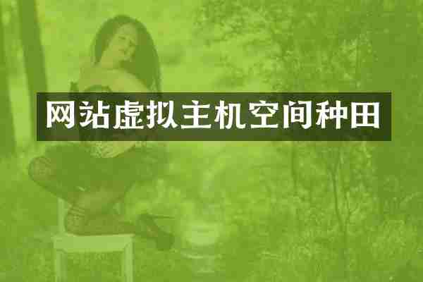 网站虚拟主机空间种田