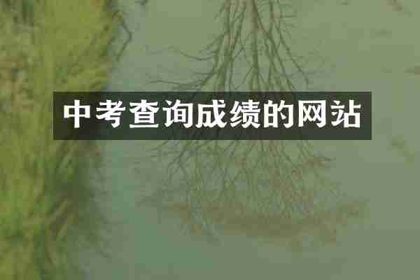 中考查询成绩的网站