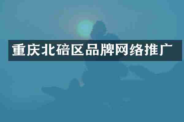 重庆北碚区品牌网络推广