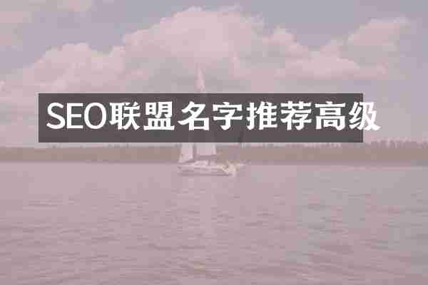 SEO联盟名字推荐高级