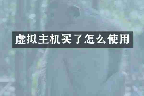 虚拟主机买了怎么使用