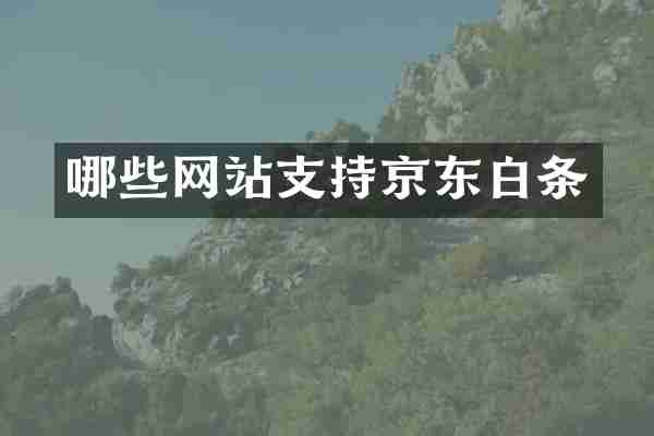 哪些网站支持京东白条