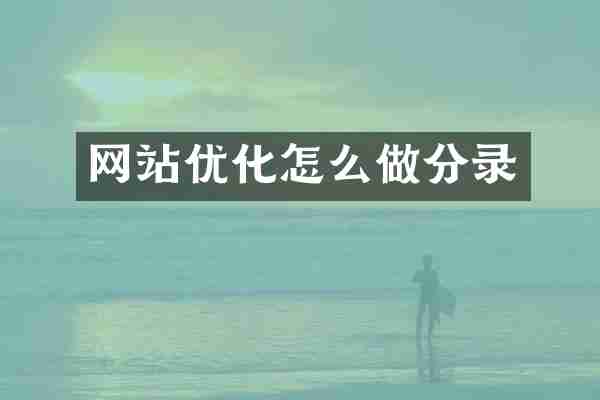 网站优化怎么做分录