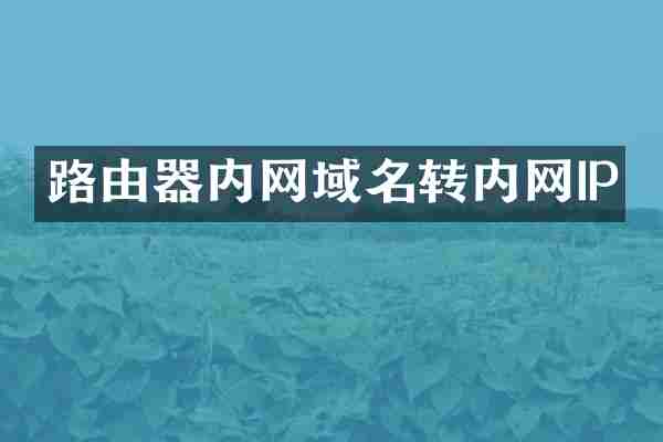 路由器内网域名转内网IP
