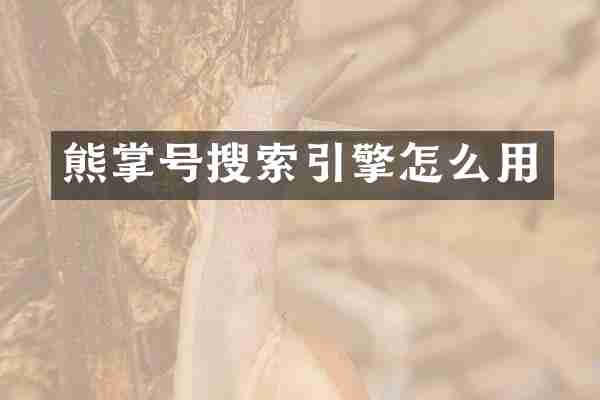 熊掌号搜索引擎怎么用
