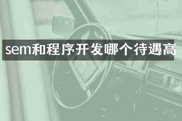 sem和程序开发哪个待遇高