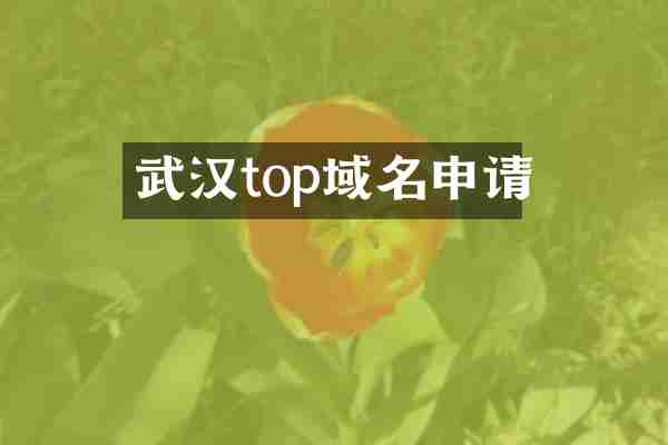武汉top域名申请