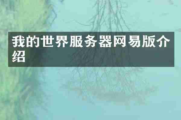 我的世界服务器网易版介绍