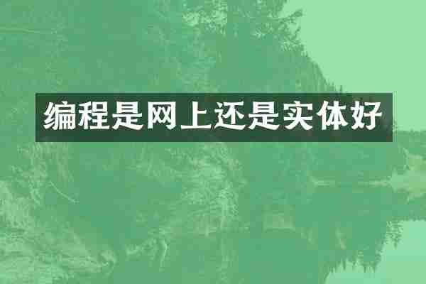 编程是网上还是实体好