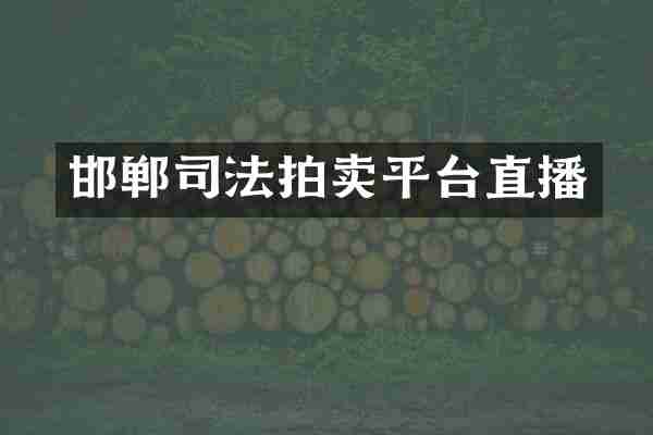 邯郸司法拍卖平台直播