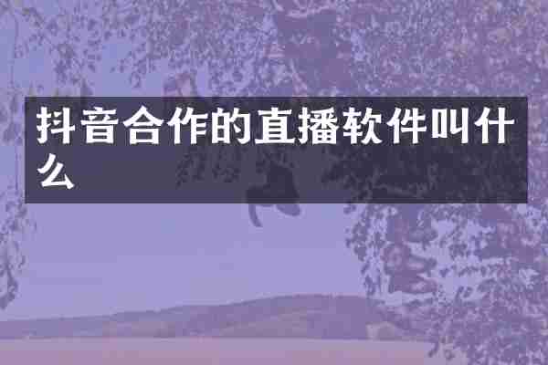 抖音合作的直播软件叫什么