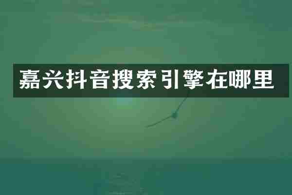 嘉兴抖音搜索引擎在哪里