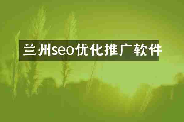 兰州seo优化推广软件