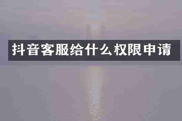 抖音客服给什么权限申请